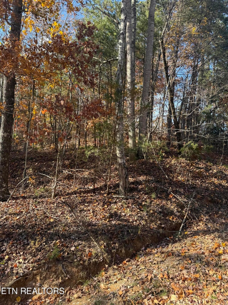 0 Scenic Woods Way, Sevierville, TN 37876
