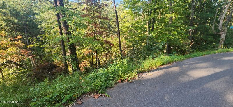 0 School House Gap Rd, Sevierville, TN 37876