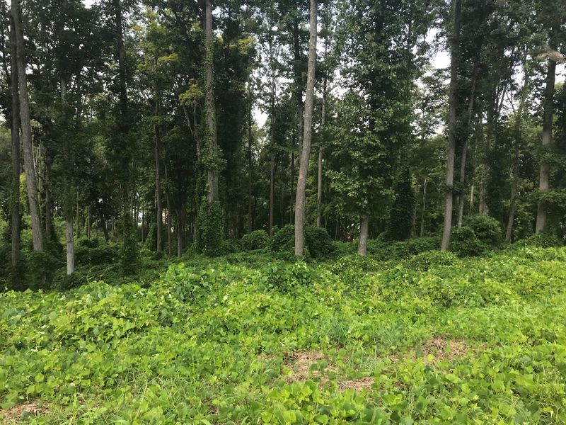 0 Schooner Dr Lot 37, Andersonville, TN 37705
