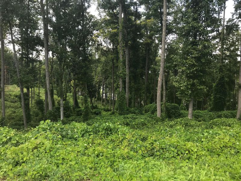 0 Schooner Dr Lot 37, Andersonville, TN 37705