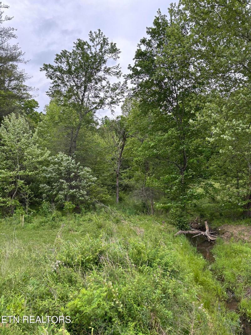 0 Scott Hw, Winfield, TN 37892