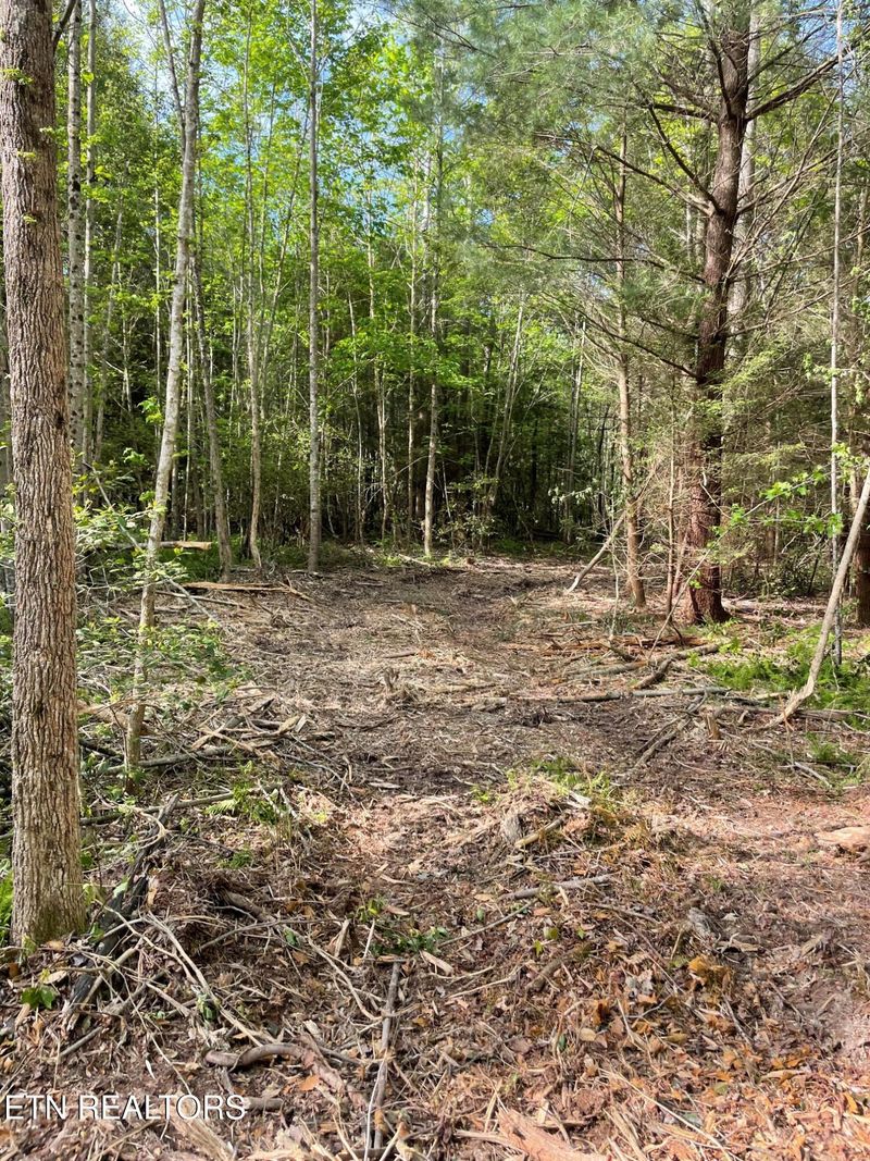0 Scott Hw, Winfield, TN 37892