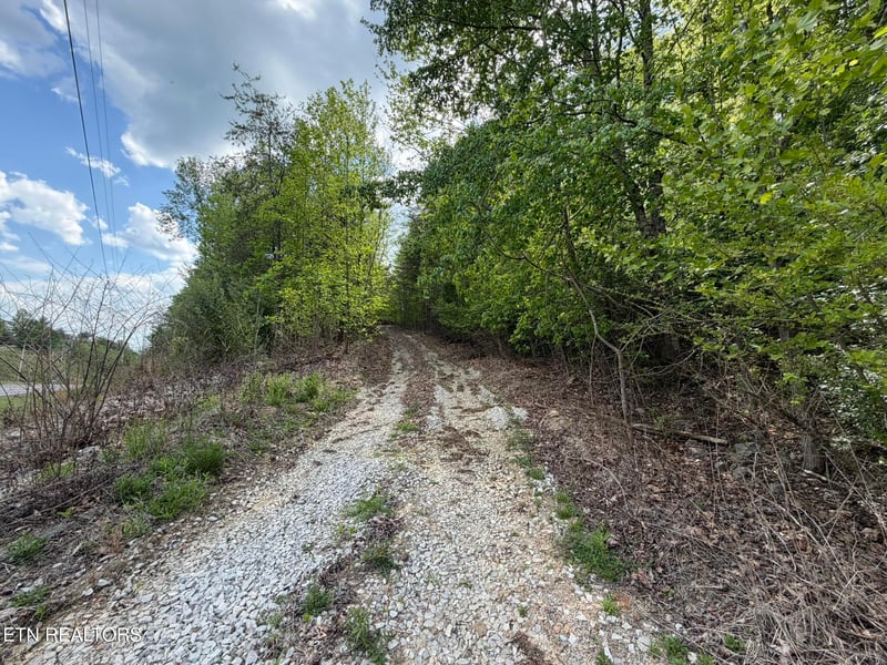 0 Scott Hwy, Helenwood, TN 37755