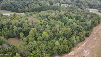 0 Scott Hwy, Helenwood, TN 37755