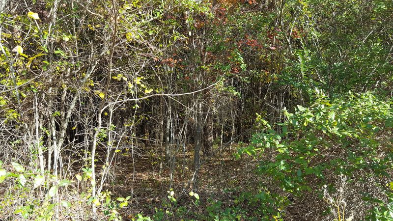 0 Sentry Ridge View Dr, Seymour, TN 37865