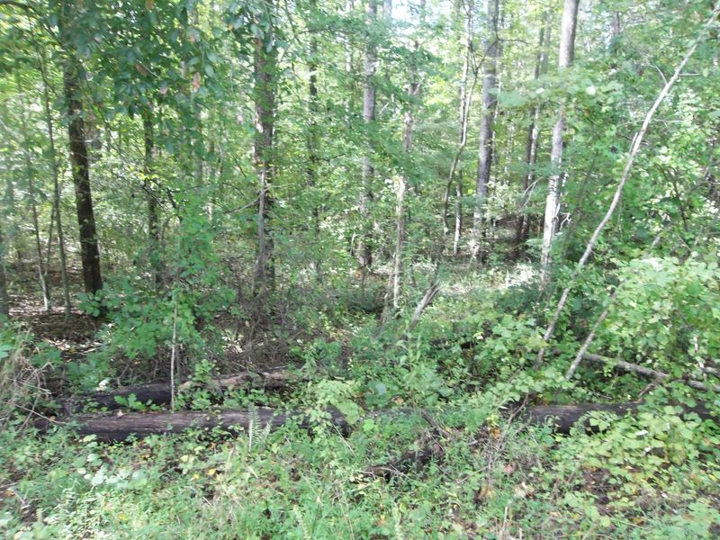 0 Sequoyah Ln, Andersonville, TN 37705