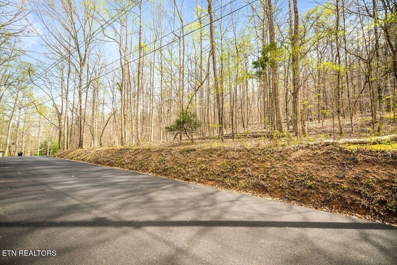 0 Sequoyah Lot 93 Rd, Andersonville, TN 37705