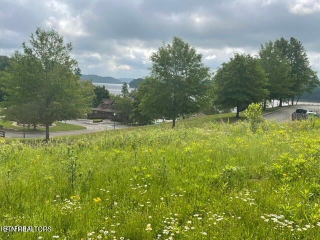 0 Serenity Dr, Harriman, TN 37748