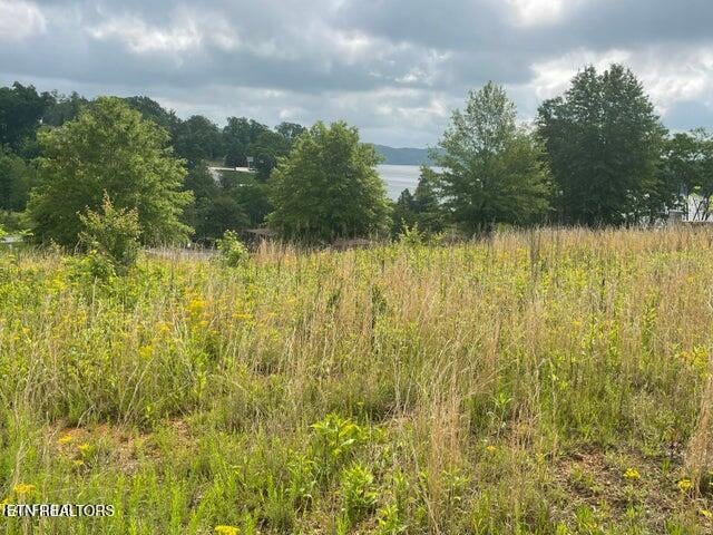 0 Serenity Dr, Harriman, TN 37748