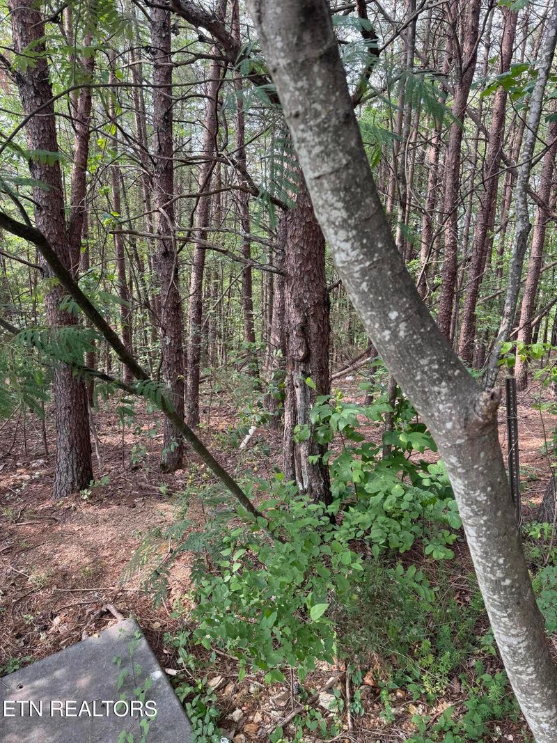 0 Seth Rd #14, Pigeon Forge, TN 37863