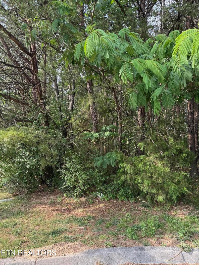 0 Seth Rd #15, Pigeon Forge, TN 37863