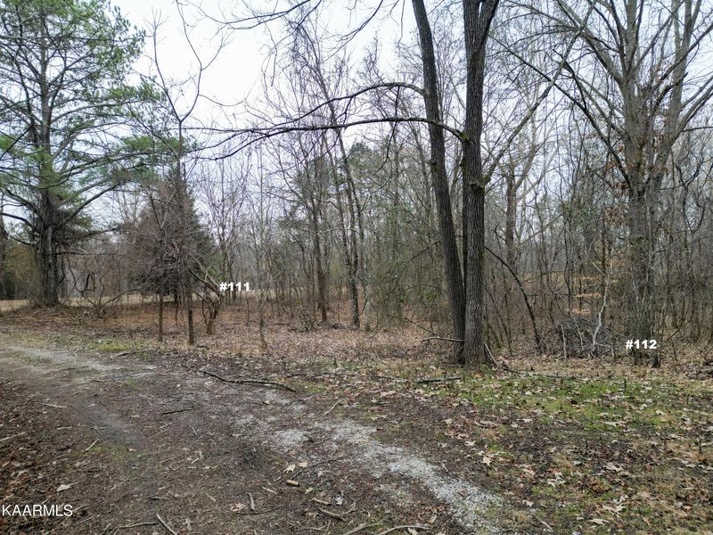 0 Settlers Rd, Harriman, TN 37748