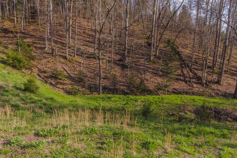 0 Sevier County Line Rd, Kodak, TN 37764