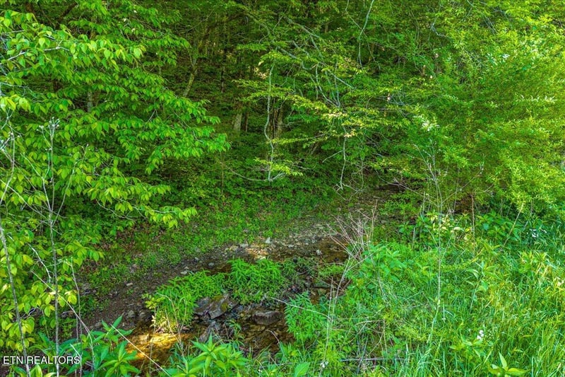 0 Shadden Rd, Tellico Plains, TN 37385