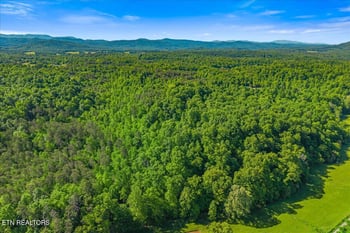 0 Shadden Rd, Tellico Plains, TN 37385