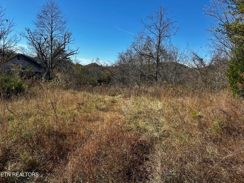 0 Shaddon Road Lot 1, Tellico Plains, TN 37385