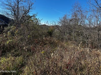0 Shaddon Road Lot 1, Tellico Plains, TN 37385