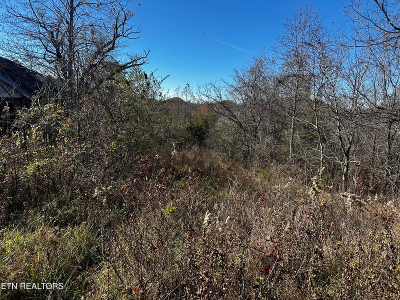 0 Shaddon Road Lot 1, Tellico Plains, TN 37385