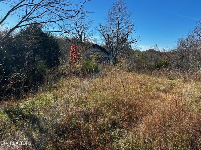 0 Shaddon Road Lot 1, Tellico Plains, TN 37385