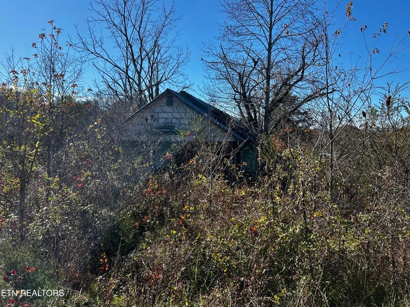 0 Shaddon Road Lot 1, Tellico Plains, TN 37385