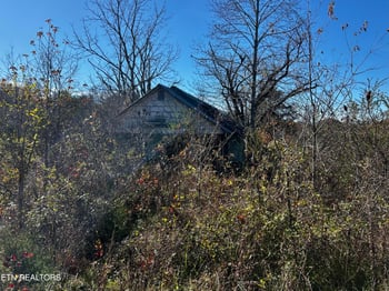 0 Shaddon Road Lot 1, Tellico Plains, TN 37385