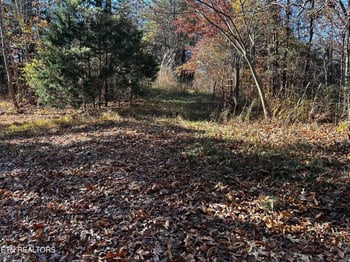 0 Shaddon Road Lot 2, Tellico Plains, TN 37385