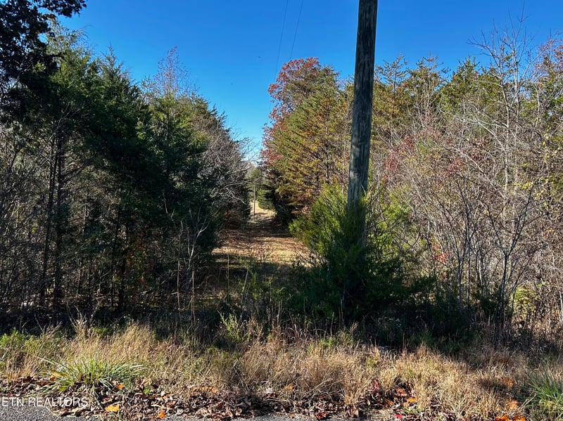 0 Shaddon Road Lot 2, Tellico Plains, TN 37385