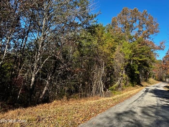 0 Shaddon Road Lot 2, Tellico Plains, TN 37385