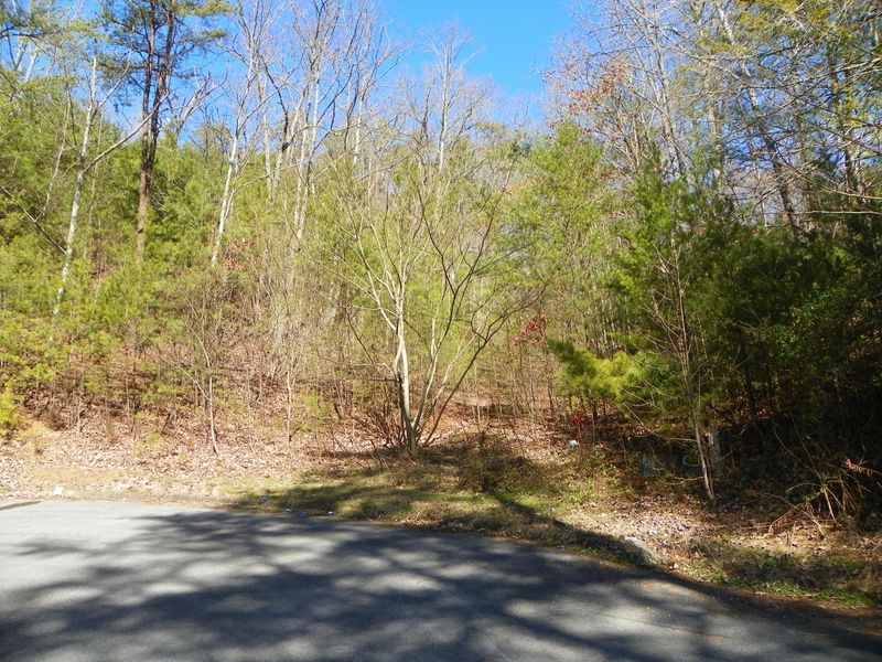 0 Shadow Ridge Dr, Sevierville, TN 37876