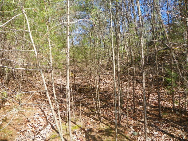 0 Shadow Ridge Dr, Sevierville, TN 37876