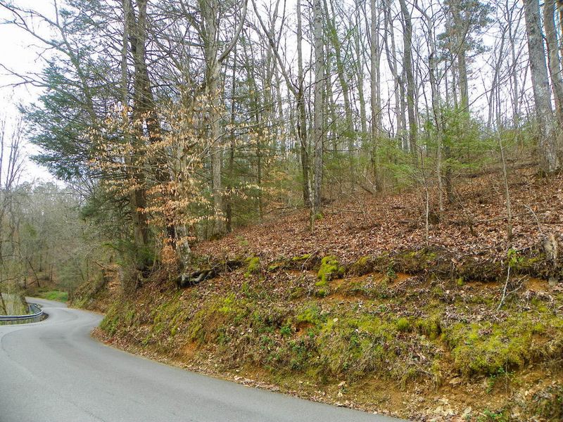 0 Shady Grove Rd, Sevierville, TN 37876