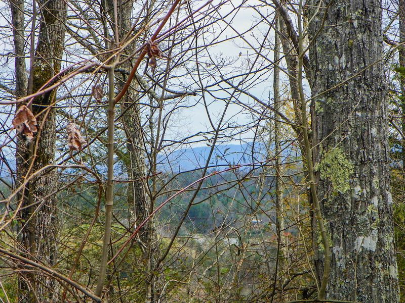 0 Shady Grove Rd, Sevierville, TN 37876
