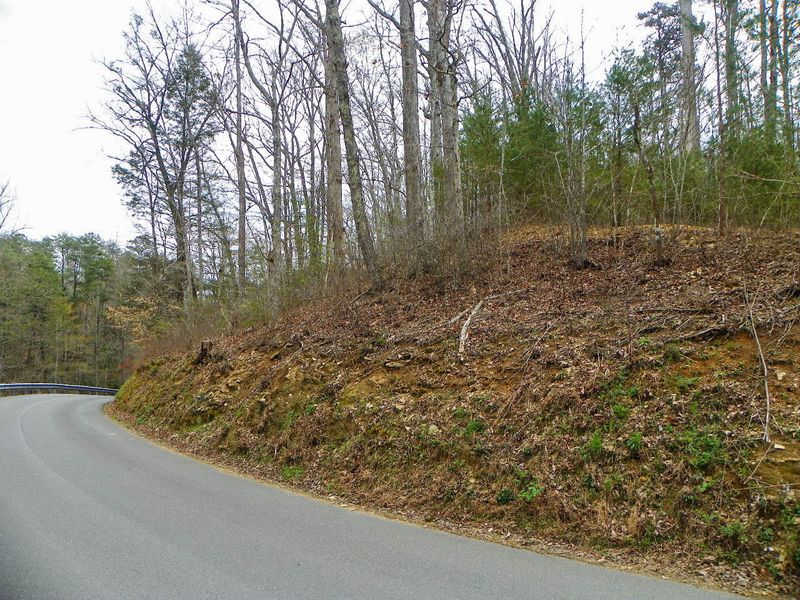 0 Shady Grove Rd, Sevierville, TN 37876