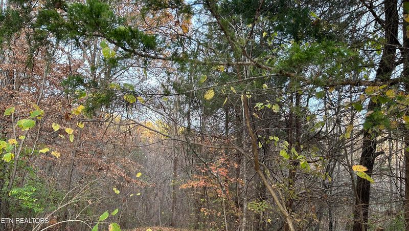 0 Shady Ln, Luttrell, TN 37779