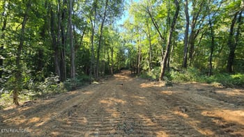 0 Shady Ln, Oneida, TN 37841
