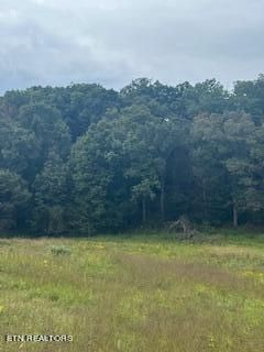0 Shady Rd, Strawberry Plains, TN 37871