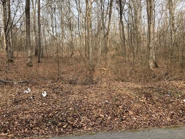 0 Shady Tr, Kingston, TN 37763