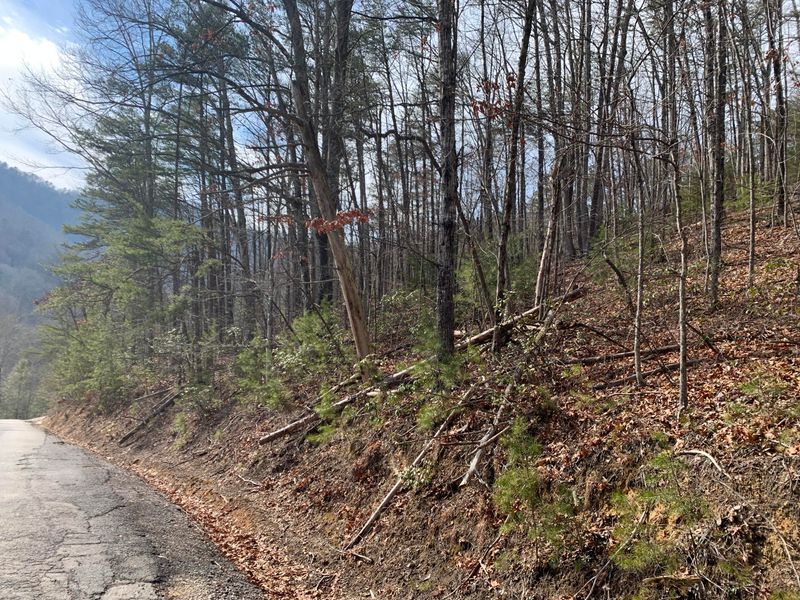 0 Shagbark Multiple Lots, Sevierville, TN 37862