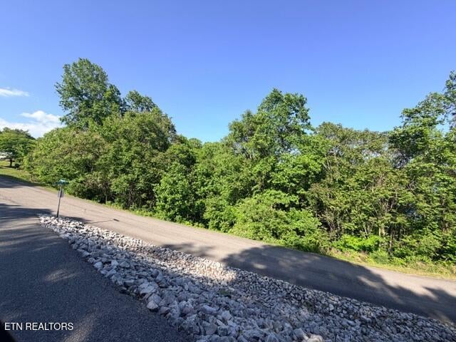 0 Shanghai Lake Ln, Lafollette, TN 37766