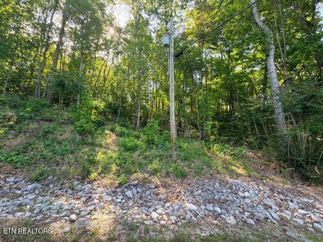 0 Shanghai Lake Ln, Lafollette, TN 37766