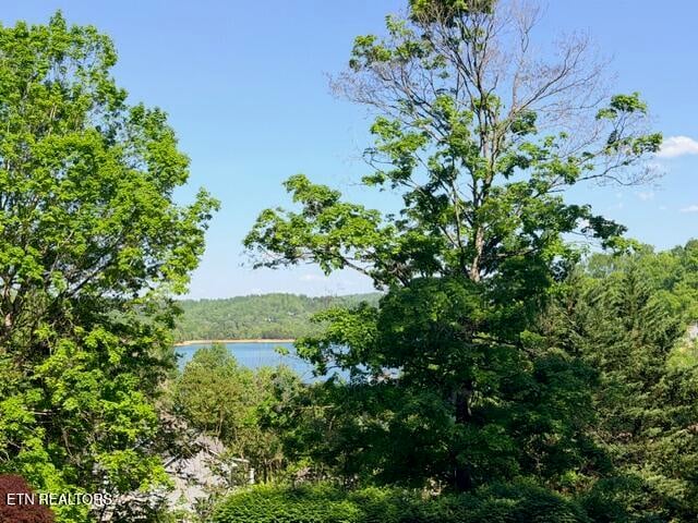 0 Shanghai Lake Ln, Lafollette, TN 37766