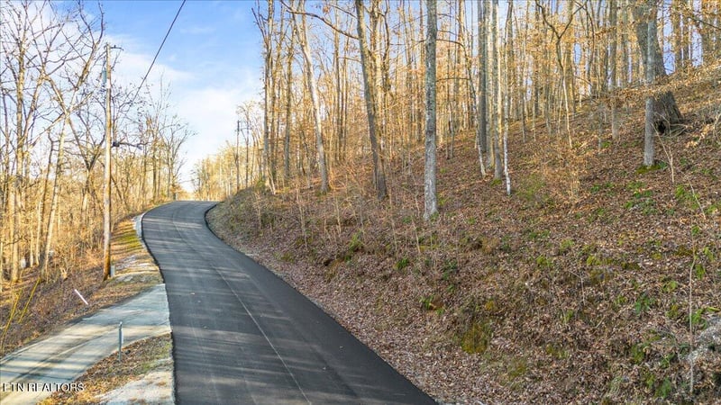 0 Shanghai Landing Ln, Lafollette, TN 37766
