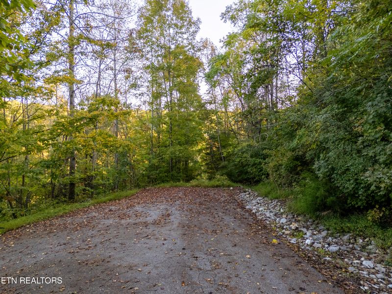 0 Shanghai Way Ln, Lafollette, TN 37766