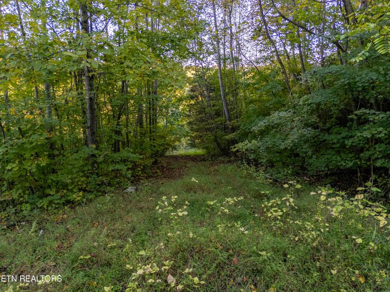 0 Shanghai Way Ln, Lafollette, TN 37766