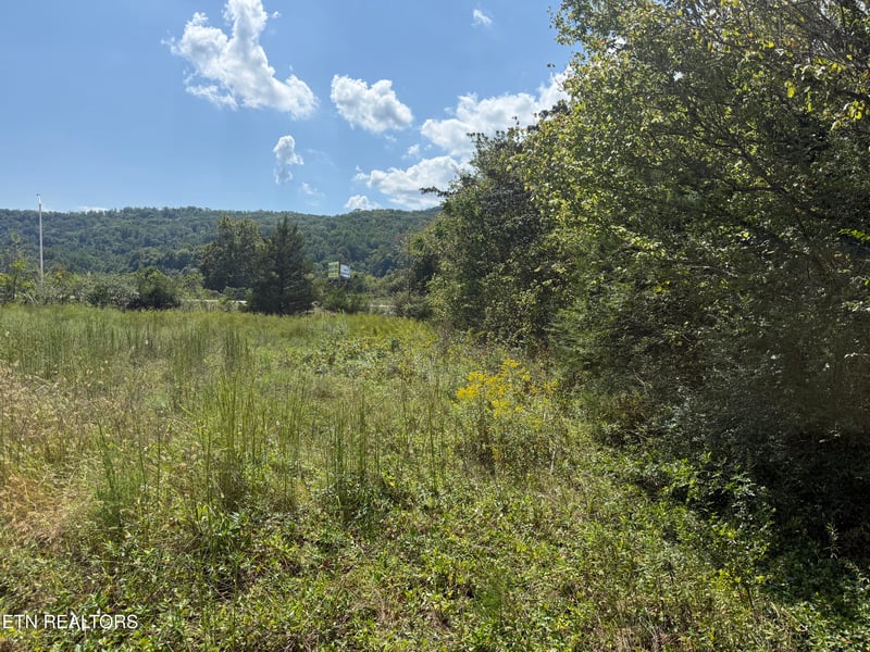 0 Sharpe Dr, Rocky Top, TN 37769