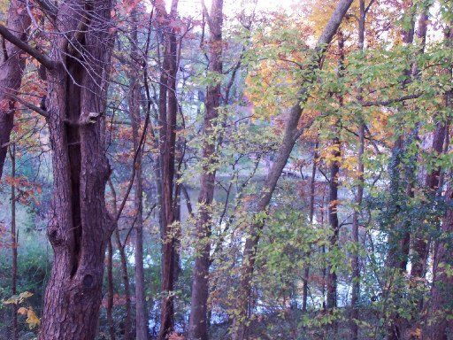 0 Shawnee Point, Loudon, TN 37774
