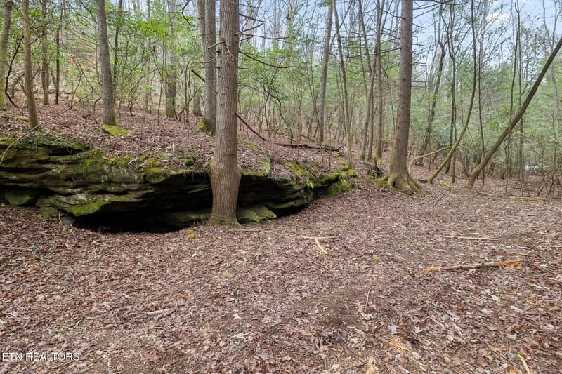0 Sheep Ranch Rd #24, Robbins, TN 37852
