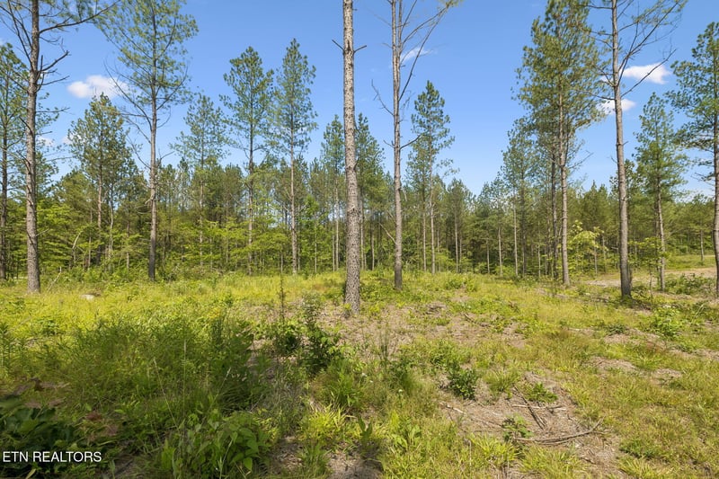 0 Sheep Ranch Rd #24, Robbins, TN 37852