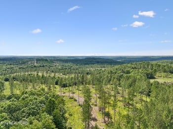 0 Sheep Ranch Rd #24, Robbins, TN 37852