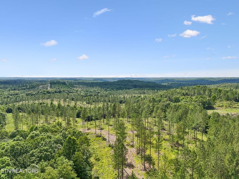 0 Sheep Ranch Rd #24, Robbins, TN 37852